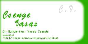 csenge vasas business card